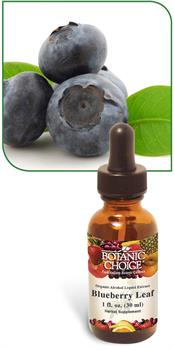 Blueberry Leaf Liquid Extract